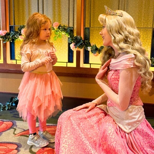 Princess Aurora at Napa Rose